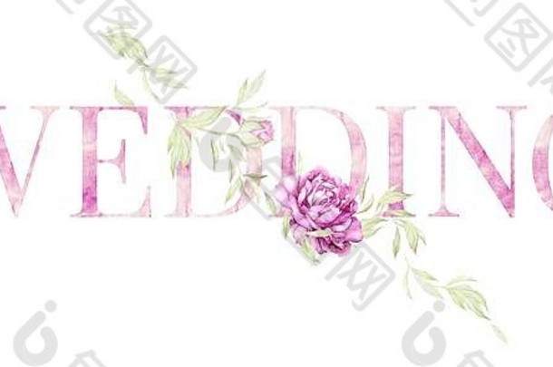 婚礼水彩大信光粉红色的颜色三叶草作文牡丹味蕾叶子白色背景打印质量