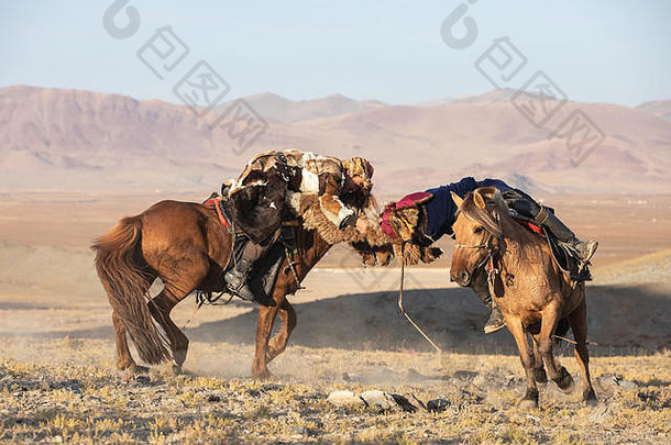 哈萨克斯坦鹰猎人分担传统的摔跤匹配摔跤手马背上的开始拉羊皮肤检索