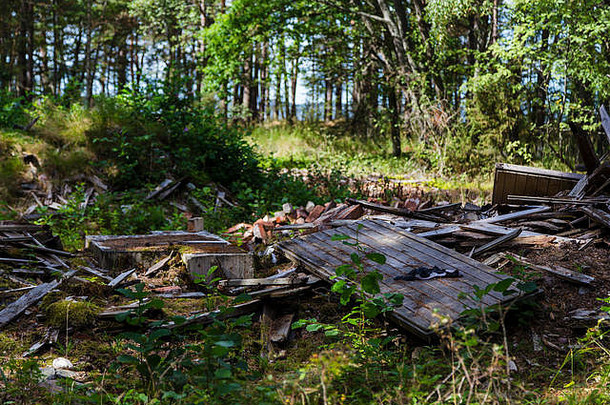 remainings摧毁了木<strong>建筑</strong>森林杈芬兰阳光明媚的一天最南端的点
