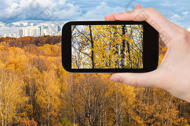 旅行概念<strong>旅游照片</strong>城市季米里亚泽夫斯基公园莫斯科城市俄罗斯秋天智能手机