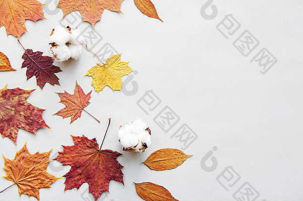 秋天作文框架使棉花花干叶子白色背景秋天秋天概念平躺前视图复制空间