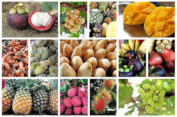 图片热带水果框架类型