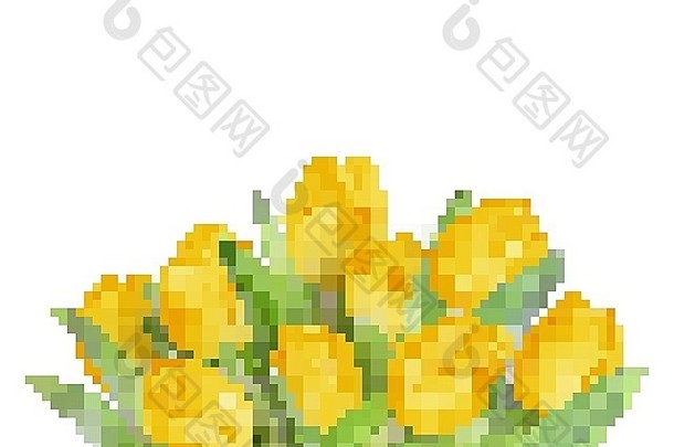 黄色的郁金香花每股收益
