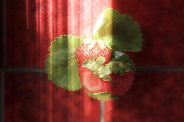 草莓轴光红色的背景食物肖像