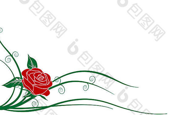 轮廓红色的玫瑰白色背景