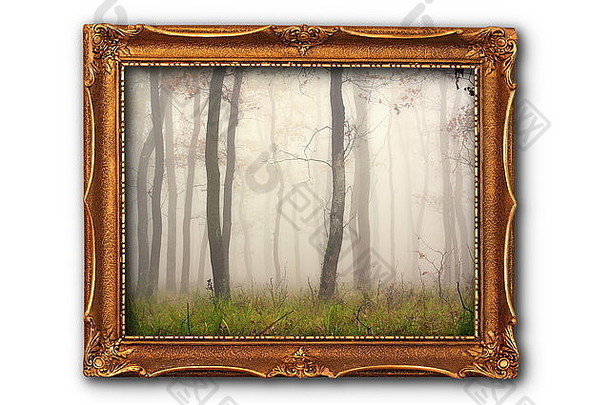 图像有雾的森林绘画框架孤立的白色背景图像内部框架巨像