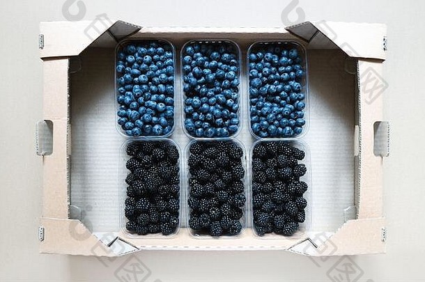 集团塑料容器新鲜的蓝莓黑莓纸板盒子准备好了航运标准水果浆果交付packagi