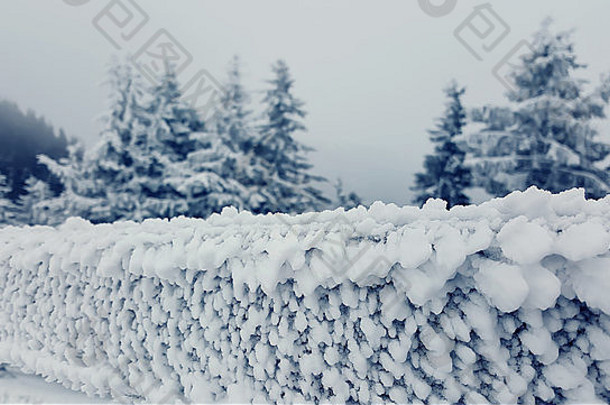 冬天景观下了雪树木栅栏覆盖霜
