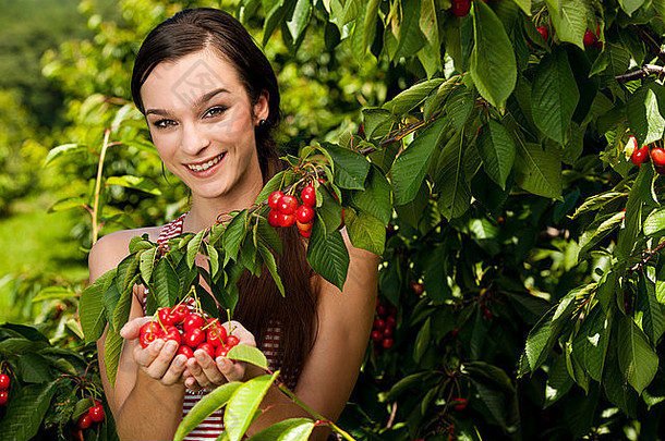 美丽的年轻的女人吃樱桃种植园
