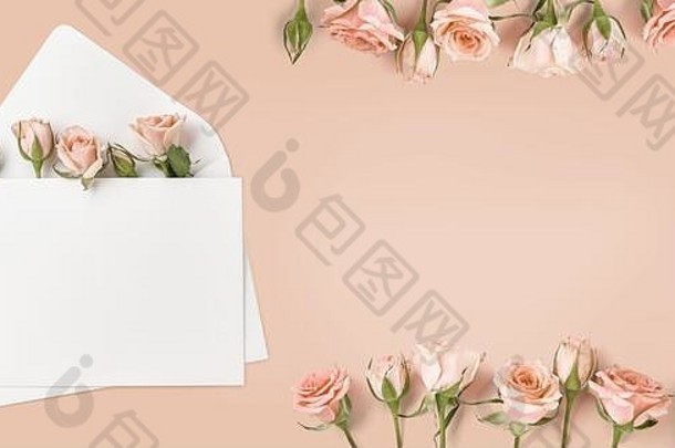 空白信封玫瑰花桃子颜色背景前视图春天玫瑰摘快乐母亲一天