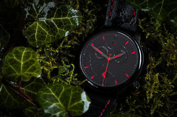 黑色的手表红色的绿色树叶