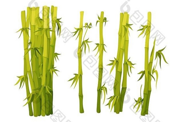 竹子绿色装饰元素平风格