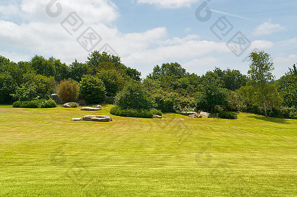 田园阳光明媚的夏季风景草坪上灌木布列塔尼法国