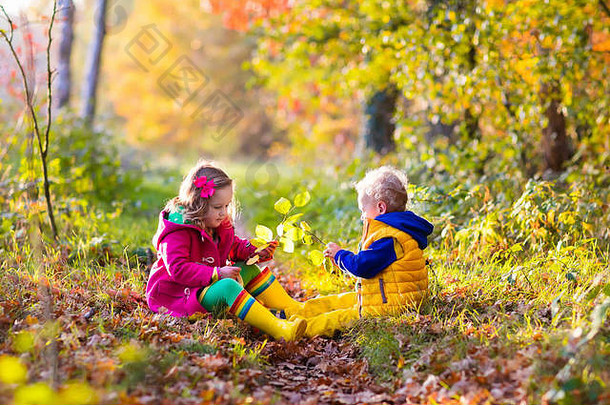 快乐孩子们玩美丽的秋天公园温暖的阳光明媚的秋天一天孩子们玩金枫木叶子焦点女孩