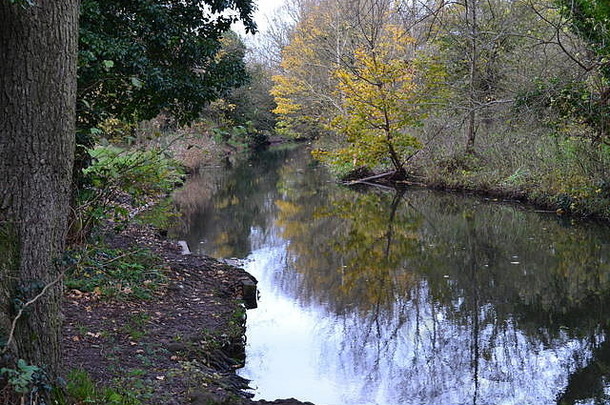 早期12月河darent卢林斯通国家公园肯特英格兰谷路径受欢迎的走七橡树达特