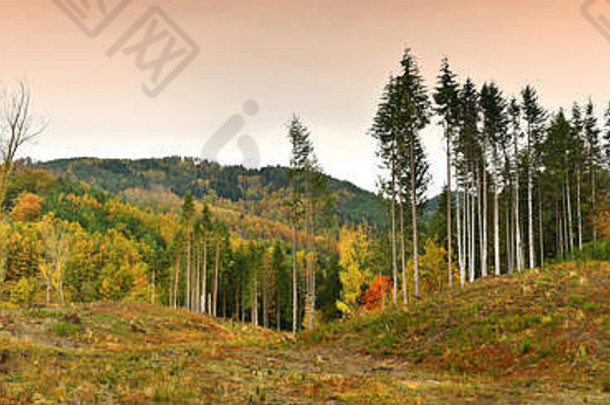 色彩斑斓的秋天景观森林托斯卡纳山意大利