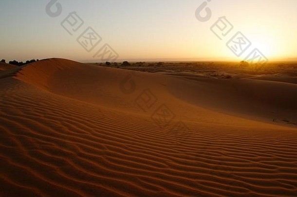 撒哈拉沙漠沙子沙丘非常切比摩洛哥非洲