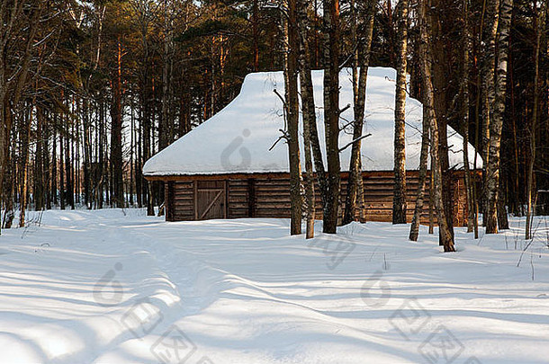 碉堡茅草屋顶冬天森林
