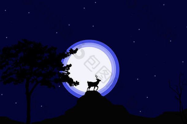 驯鹿轮廓梯度灯闪光的布满星星的背景创建梦幻背景图像自然壁纸晚上野生动物