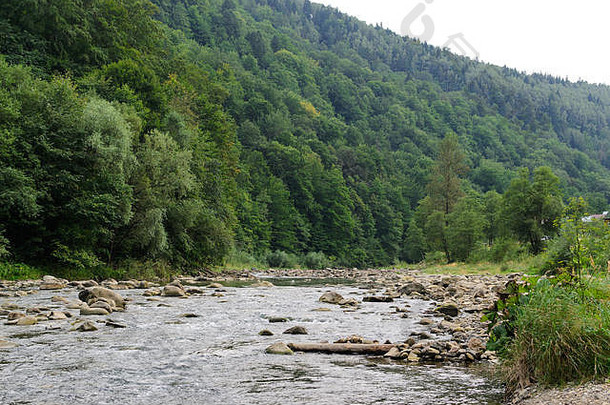 景观溪石头包围山森林照片自然
