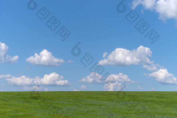 云蓝色的天空绿色小麦场月收获