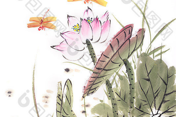 中国人绘画莲花蜻蜓