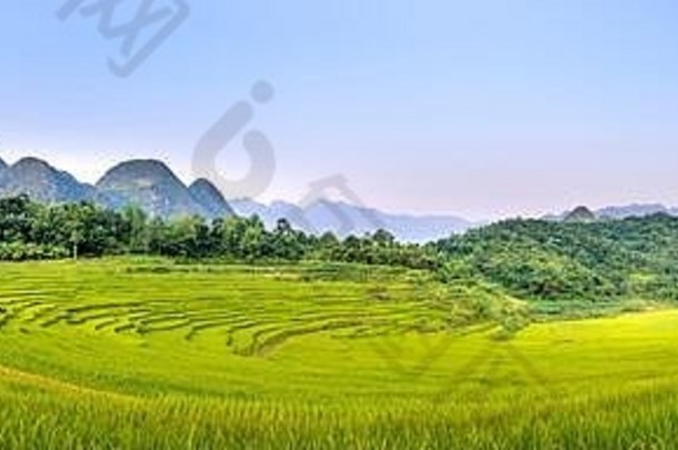 全景视图美丽的绿色梯田梁联合栏花省越南