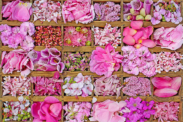 粉红色的花拼贴画木盒子