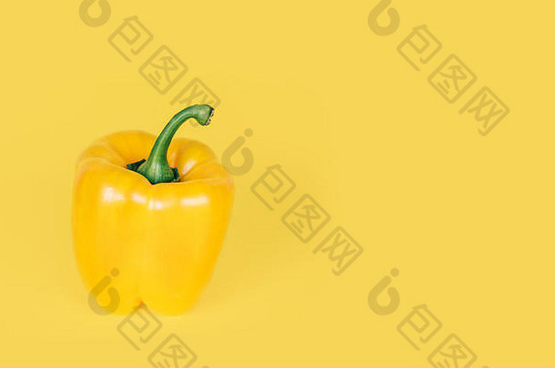 黄色的胡椒明亮的黄色的背景