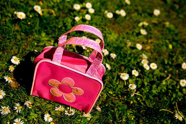 粉红色的袋坐着草