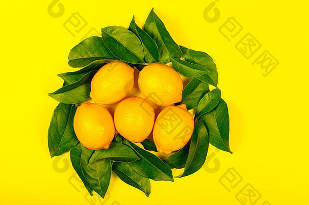 柠檬包围柠檬树叶子孤立的黄色的背景