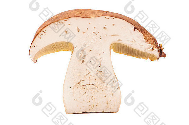 片蘑菇孤立的白色背景
