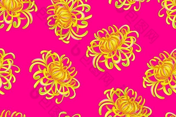 无缝的模式菊花花装饰点缀