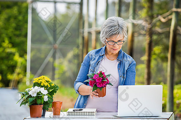 美丽的成熟的女人工作温室持有花采取笔记移动PC