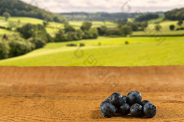 堆栈蓝莓木表格前面模糊农村场景梅多斯森林