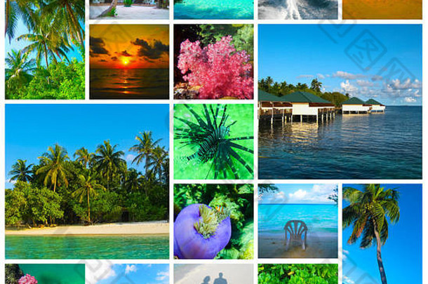 拼贴画夏天海滩马尔代夫图片自然旅行背景