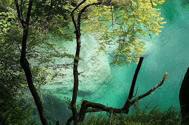 瀑布湖泊特公园克罗地亚清晰的蓝色的水绿色及自然