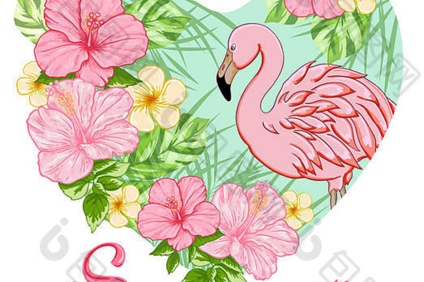 粉红色的热带花火烈鸟夏天背景花心