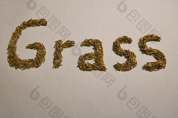 用真正的草籽来看看草这个字是怎么写的
