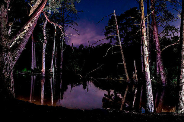 这张彩色夜景照片拍摄于静谧池塘中紫色夜空<strong>下</strong>的林地。