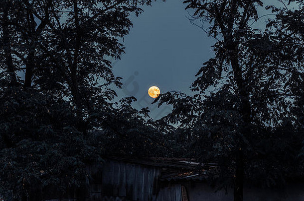 完整的月亮晚上天空eclipse