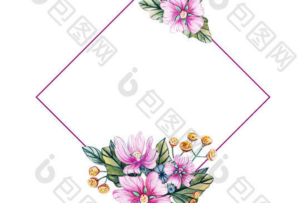 婚礼用野花方形框架水彩插图。带有粉色花朵、锦葵叶子和花蕾的花卡。秋、夏、夏
