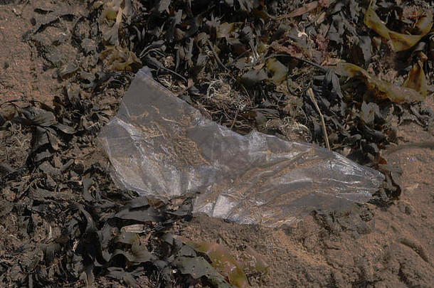 透明的塑料对象发现河泰晤士河显示高塑料环境