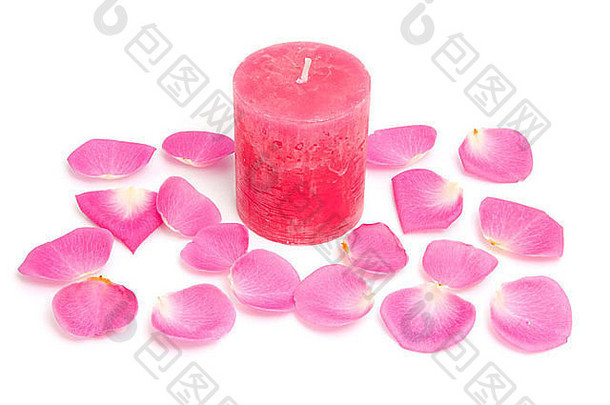 粉红色的蜡烛玫瑰叶子白色背景