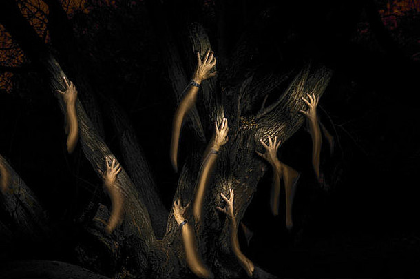 奇怪的手攀爬树黑暗