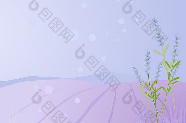 以紫色和蓝色调的花朵、树叶和山丘为背景的薰衣草田野插图