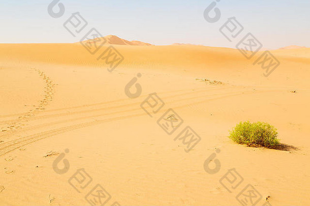 阿曼老沙漠鲁布阿勒哈利的空旷区和户外沙丘