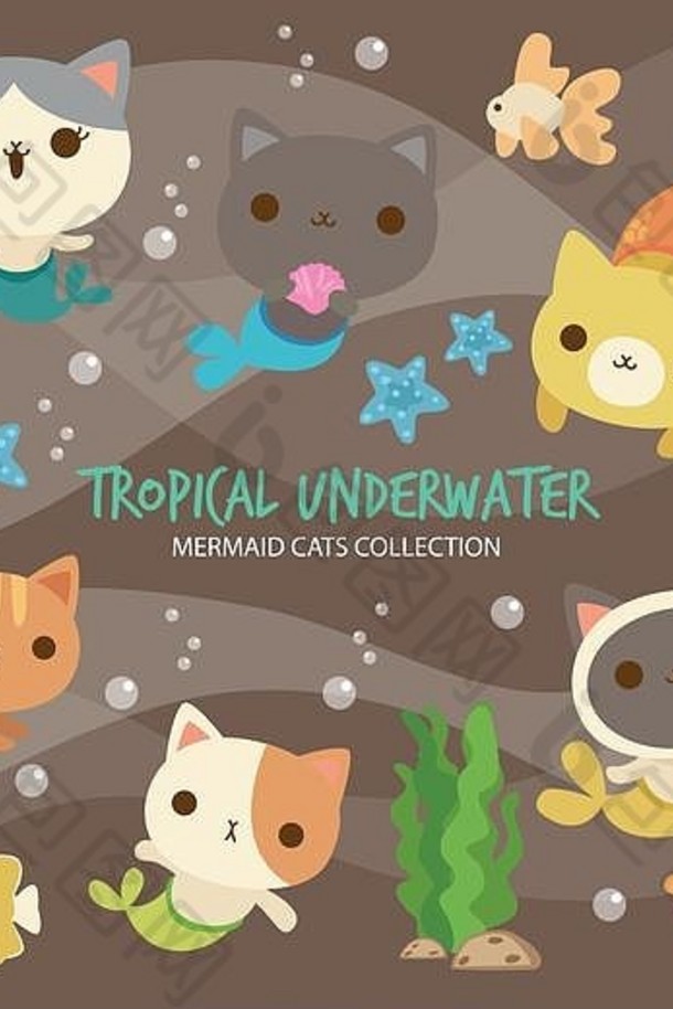 热带水下美人鱼猫