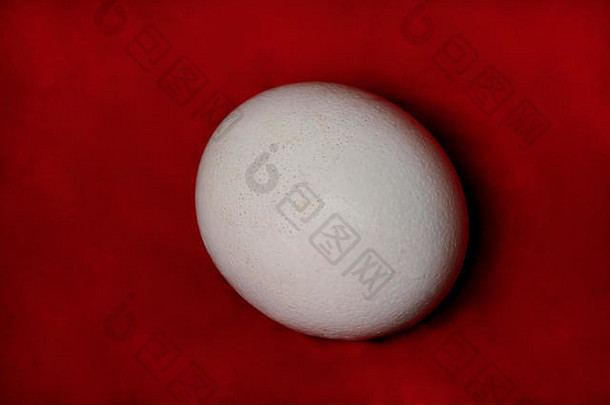 大鸵鸟蛋孤立的红色的背景关闭有机新鲜的蛋概念健康的食物鸵鸟蛋象征出生