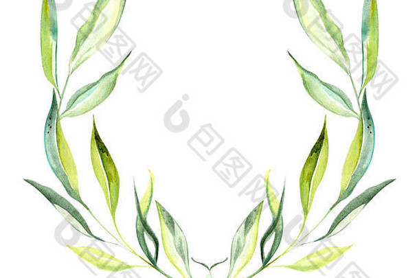 图中的橄榄枝呈带叶子的彩色花环，果实呈长方形，背景为孤立的白色